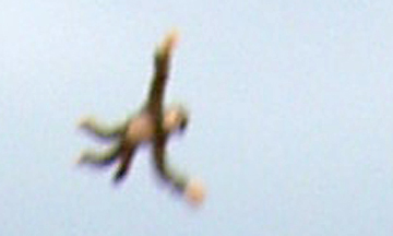 monkey-in-flight-_2.jpg